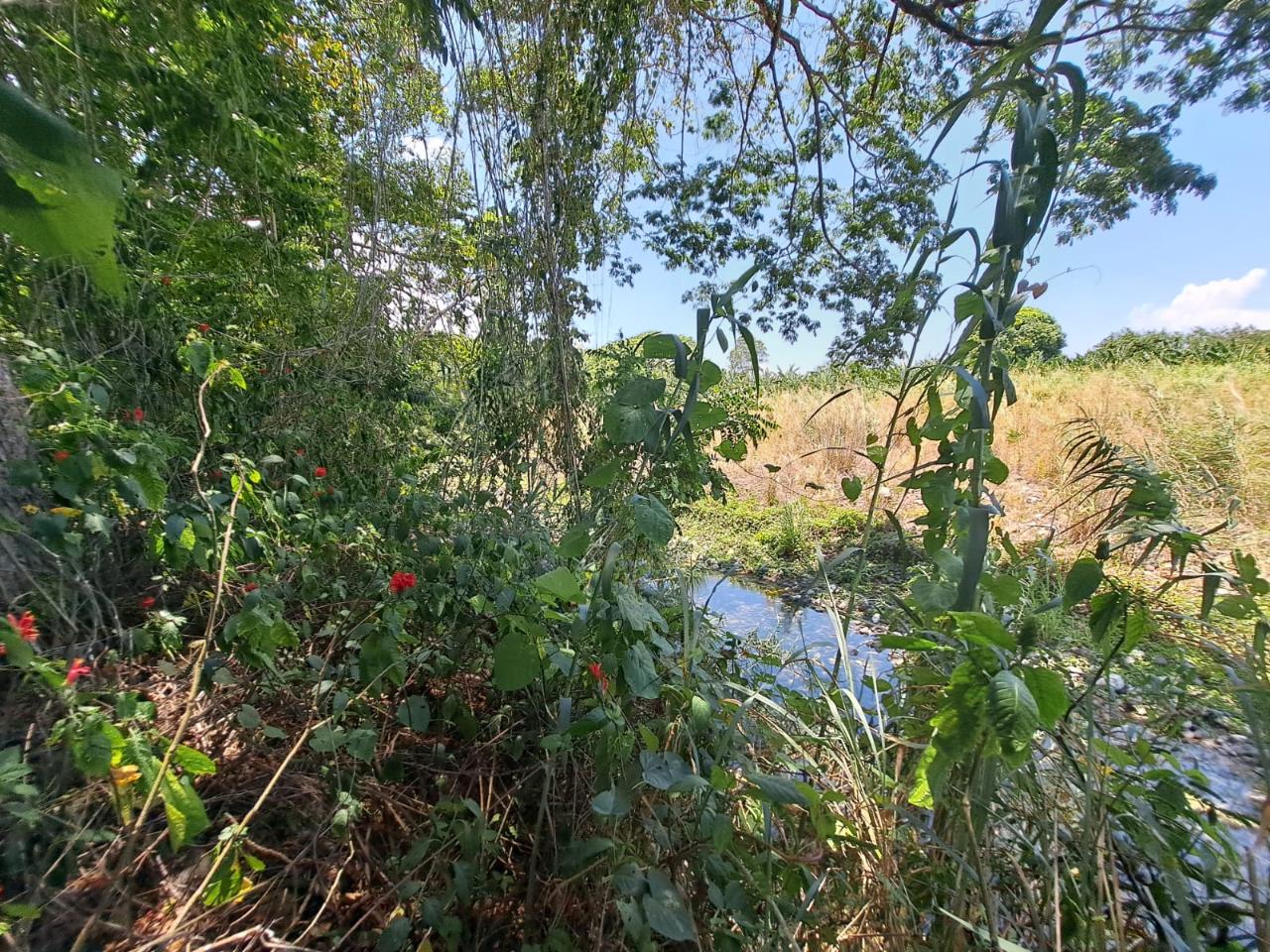 Development Land (Residential) For Sale LEYTON VALLEY, PORTLAND