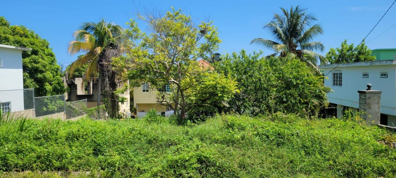 Residential Lot For Sale TRYALL GARDENS, HANOVER, Sandy Bay