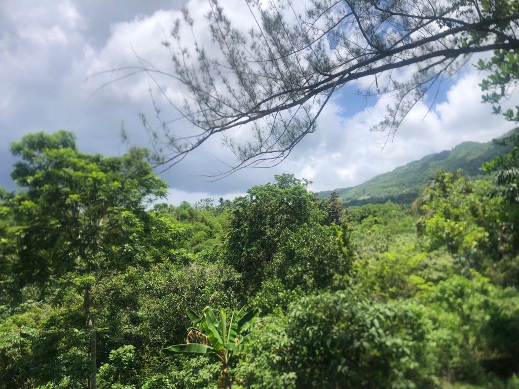 Residential Lot For Sale: PART OF TREADWAYS, Linstead | $9,500,000