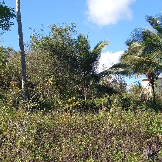 House For Sale DIAMOND ROAD, Bog Walk 12,000,000 Keez