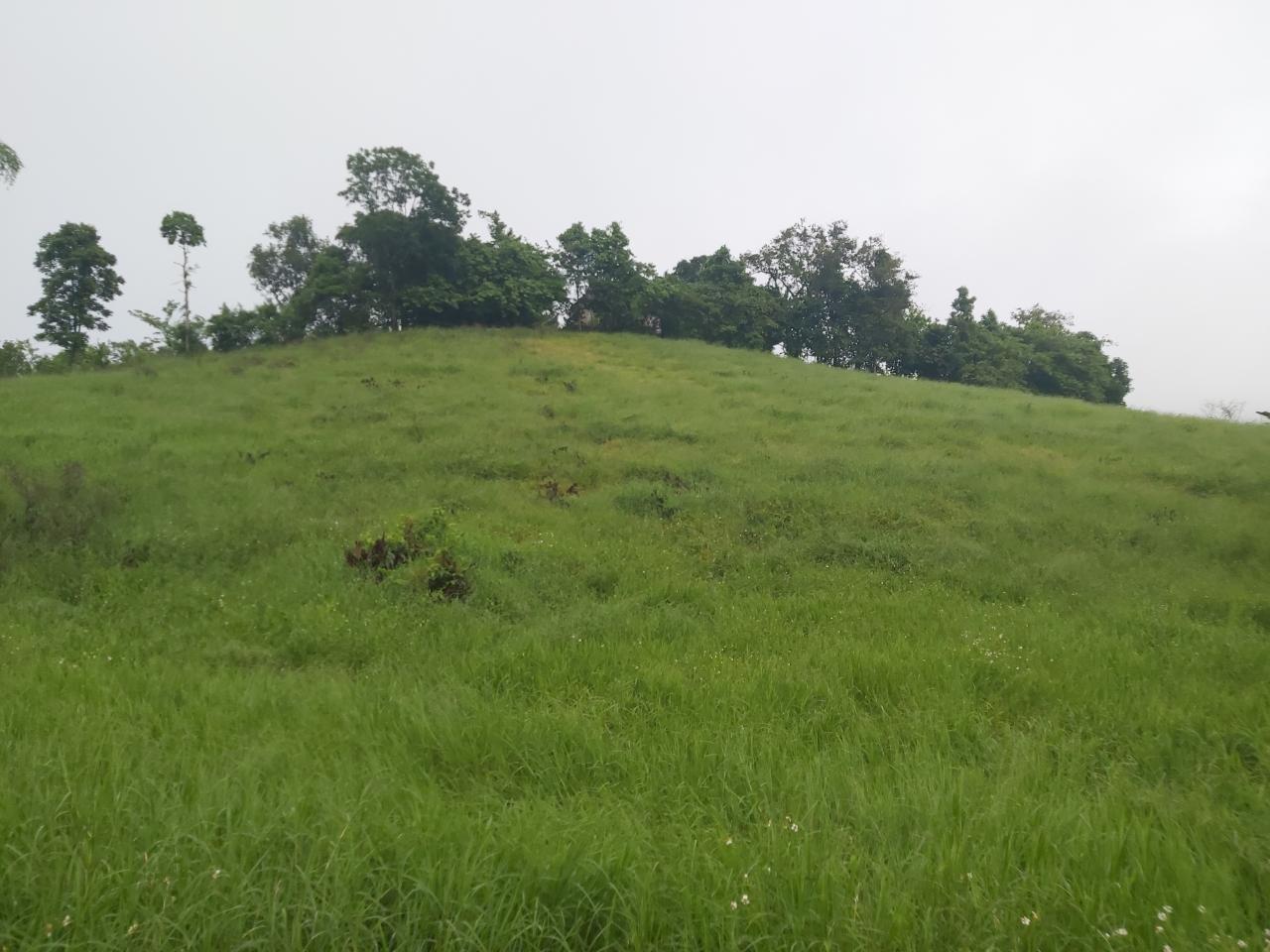 Residential Lot For Sale NEW MARKET, 1371 12,500,000 Keez