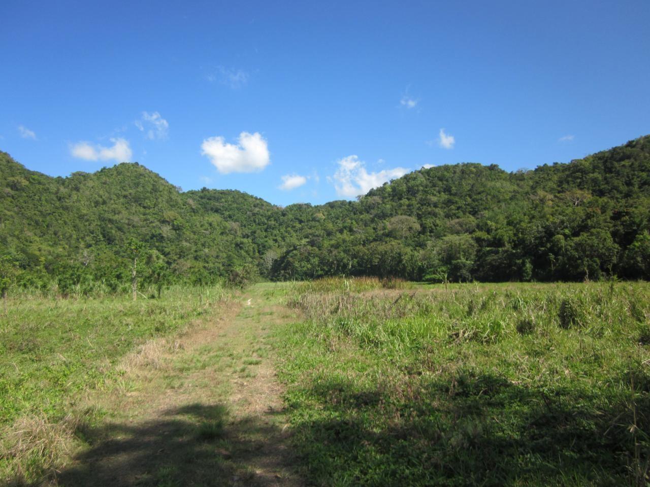 Development Land (Residential) For Sale BURNT SAVANNAH, Friendship
