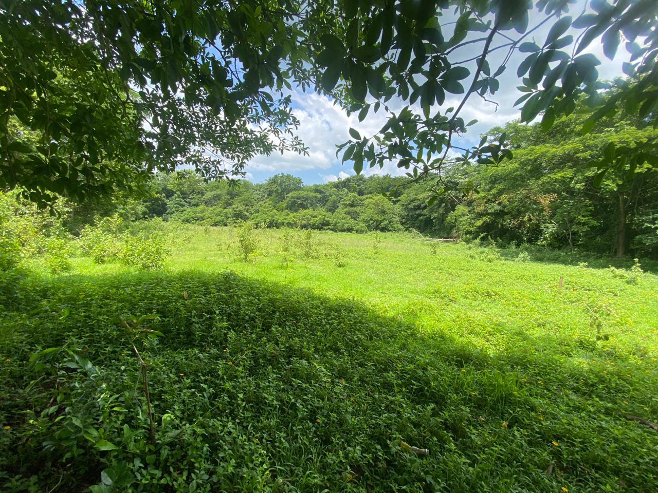 Development Land (Residential) For Sale ELIM, BOGUE, ST ELIZABETH