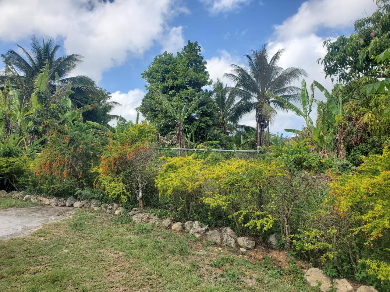 Residential Lot For Sale UNITY HALL, 310 11,000,000 Keez