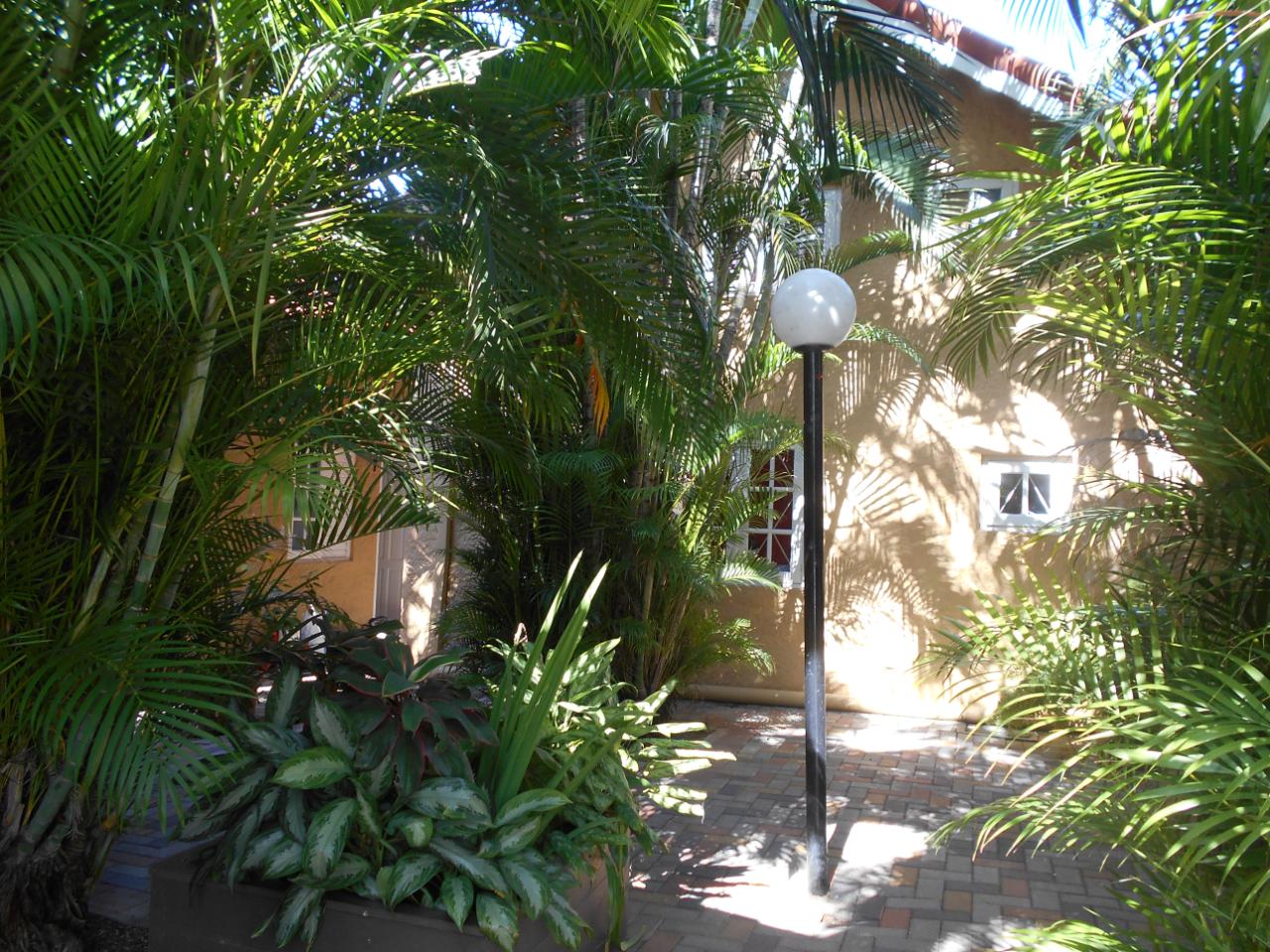 Apartment For Rent HILLCREST AVENUE, Kingston 6 120,000 Keez