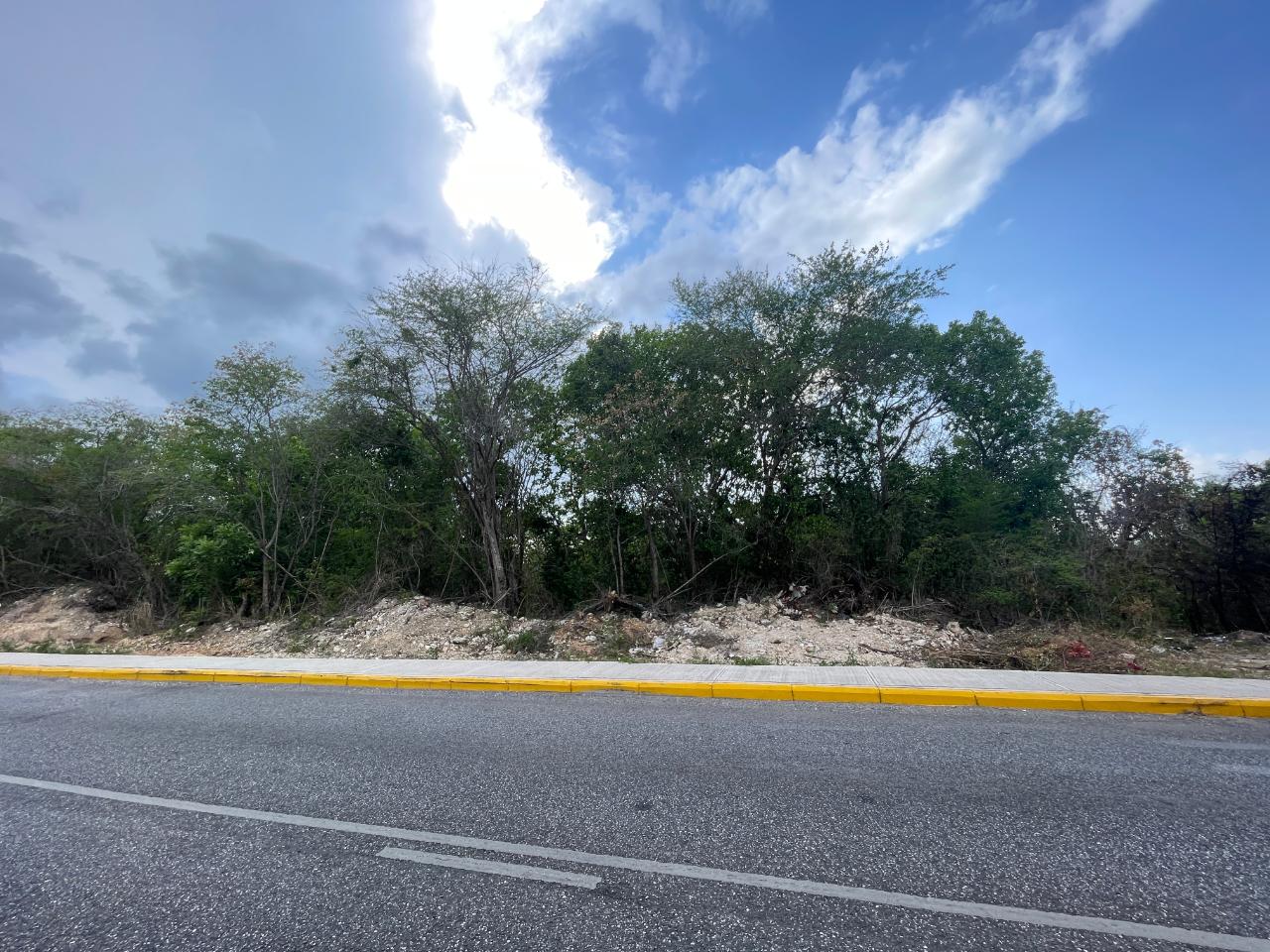 Residential Lot For Sale DR. HORACE CHANG BLVD, Ironshore