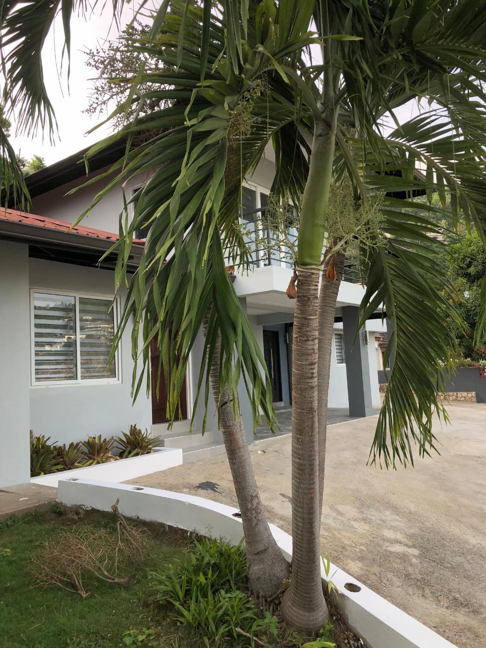 House For Rent: BELGRADE LOOP, Kingston 19 | $130,000