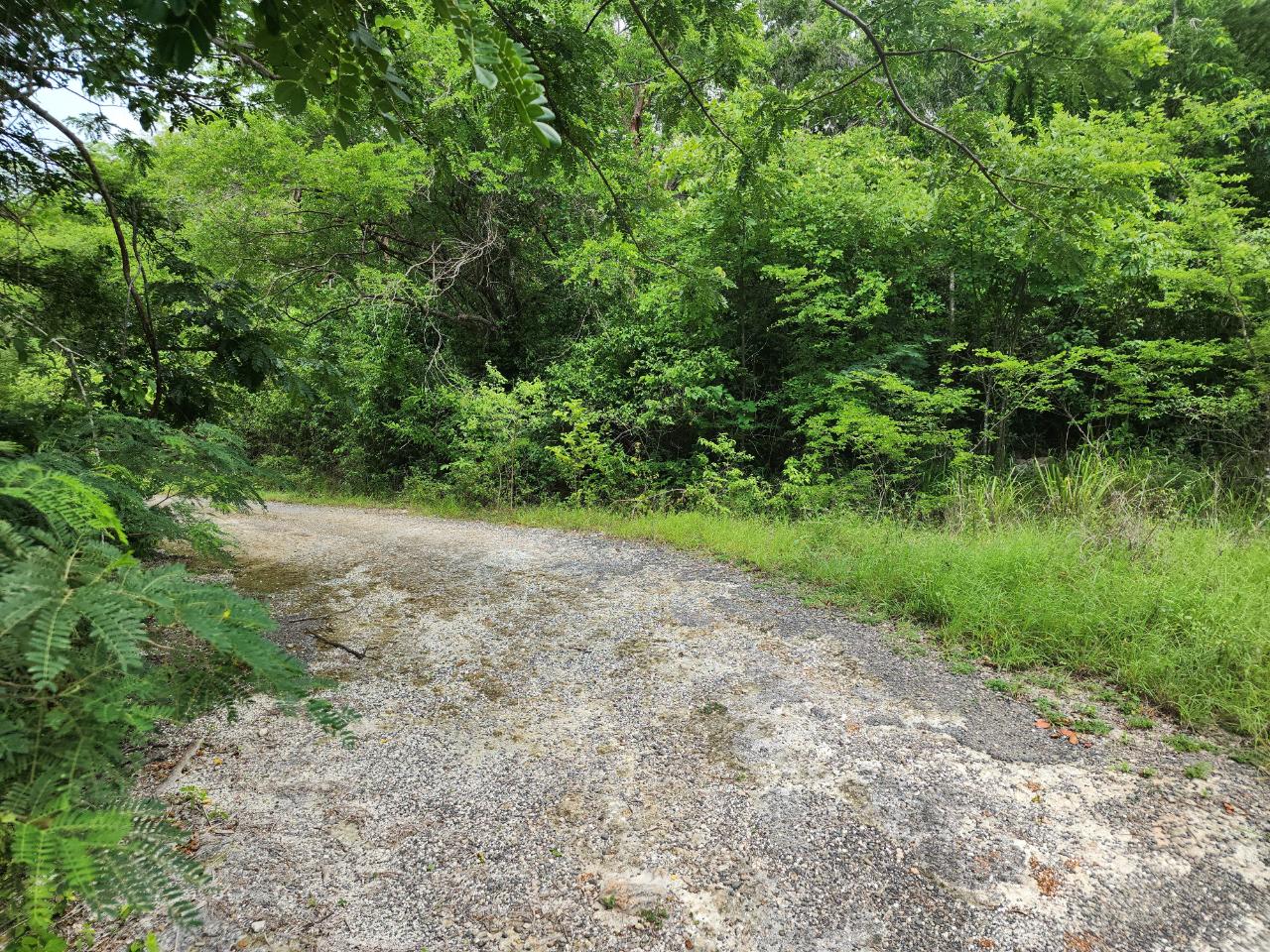 Residential Lot For Sale SILVER SANDS, DUNCANS, Duncans 74,000 Keez