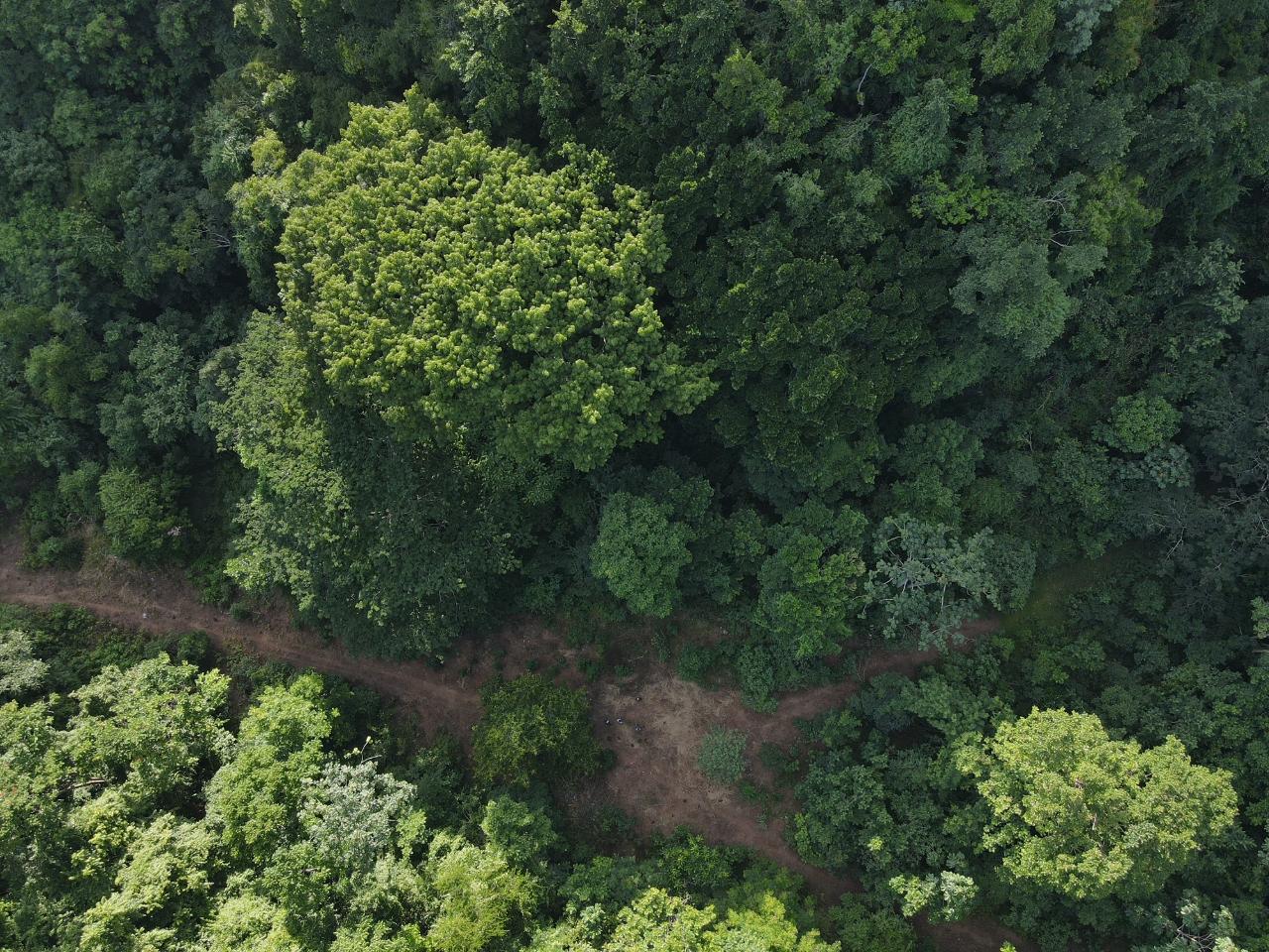 Development Land (Residential) For Sale ARNOSVALE, BALACLAVA