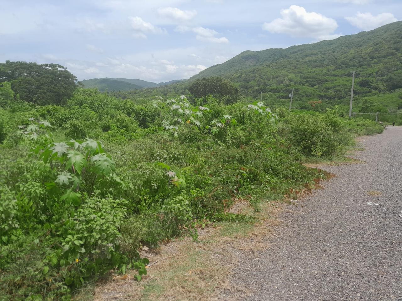 Residential Lot For Sale LONGVILLE ESTATE, 2561 3,000,000 Keez