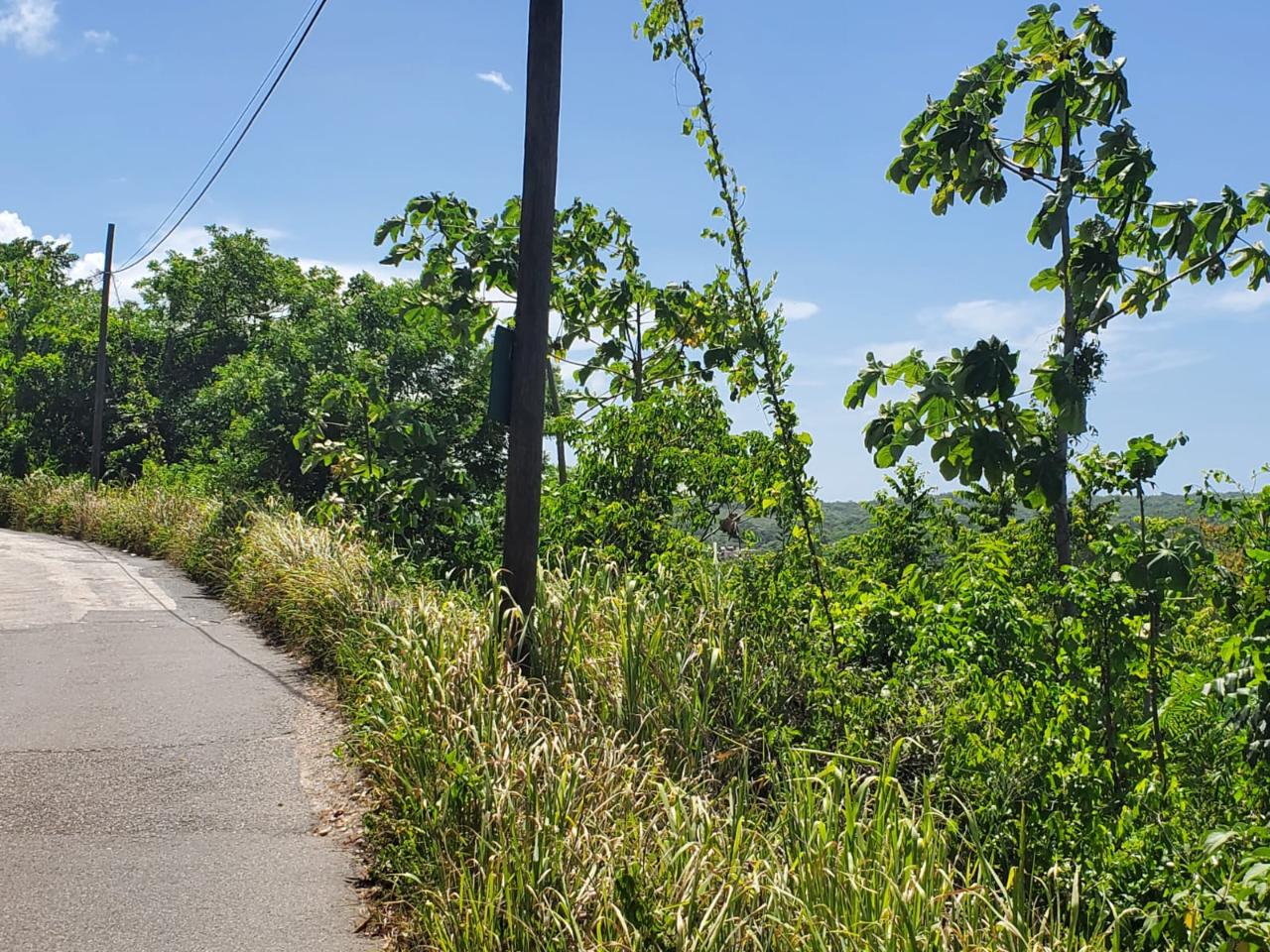 Development Land (Residential) For Sale BELLE AIR, RUNAWAY BAY, 787