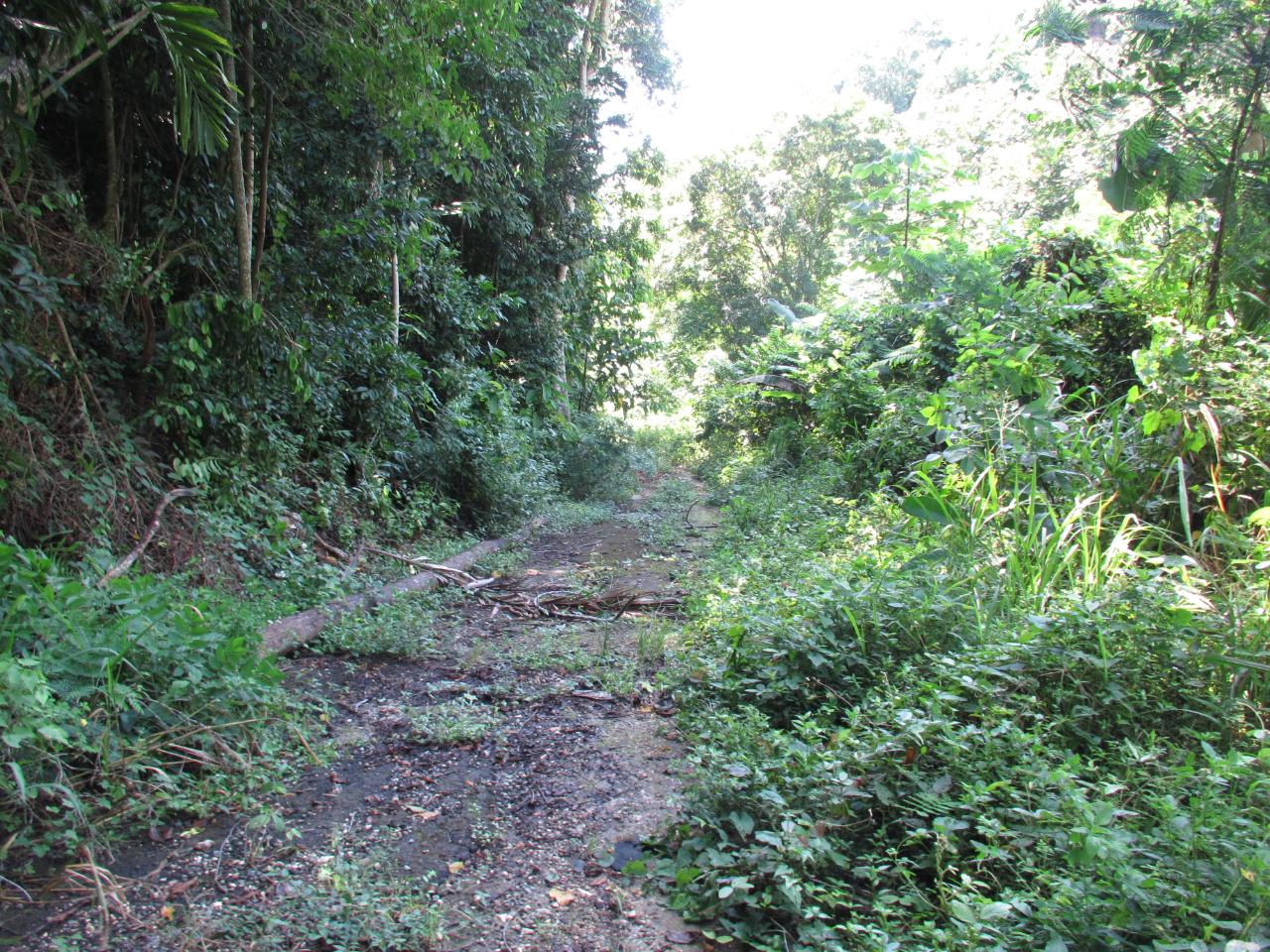 Development Land (Residential) For Sale VALLEY CL amp; PANTON CL