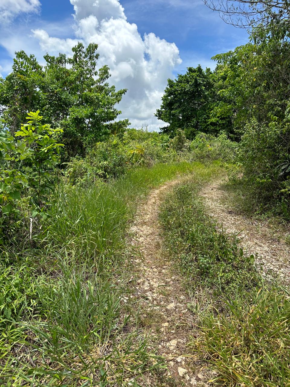residential-lot-for-sale-north-coast-view-2643-17-000-000-keez