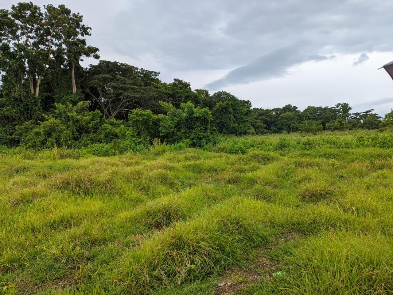 Residential Lot For Sale FORT WILLIAM, PETERSFIELD, Petersfield