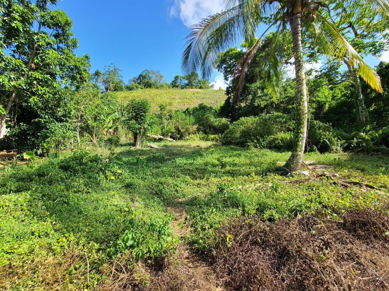 Residential Lot For Sale COLEGATE RD, 746 9,500,000 Keez