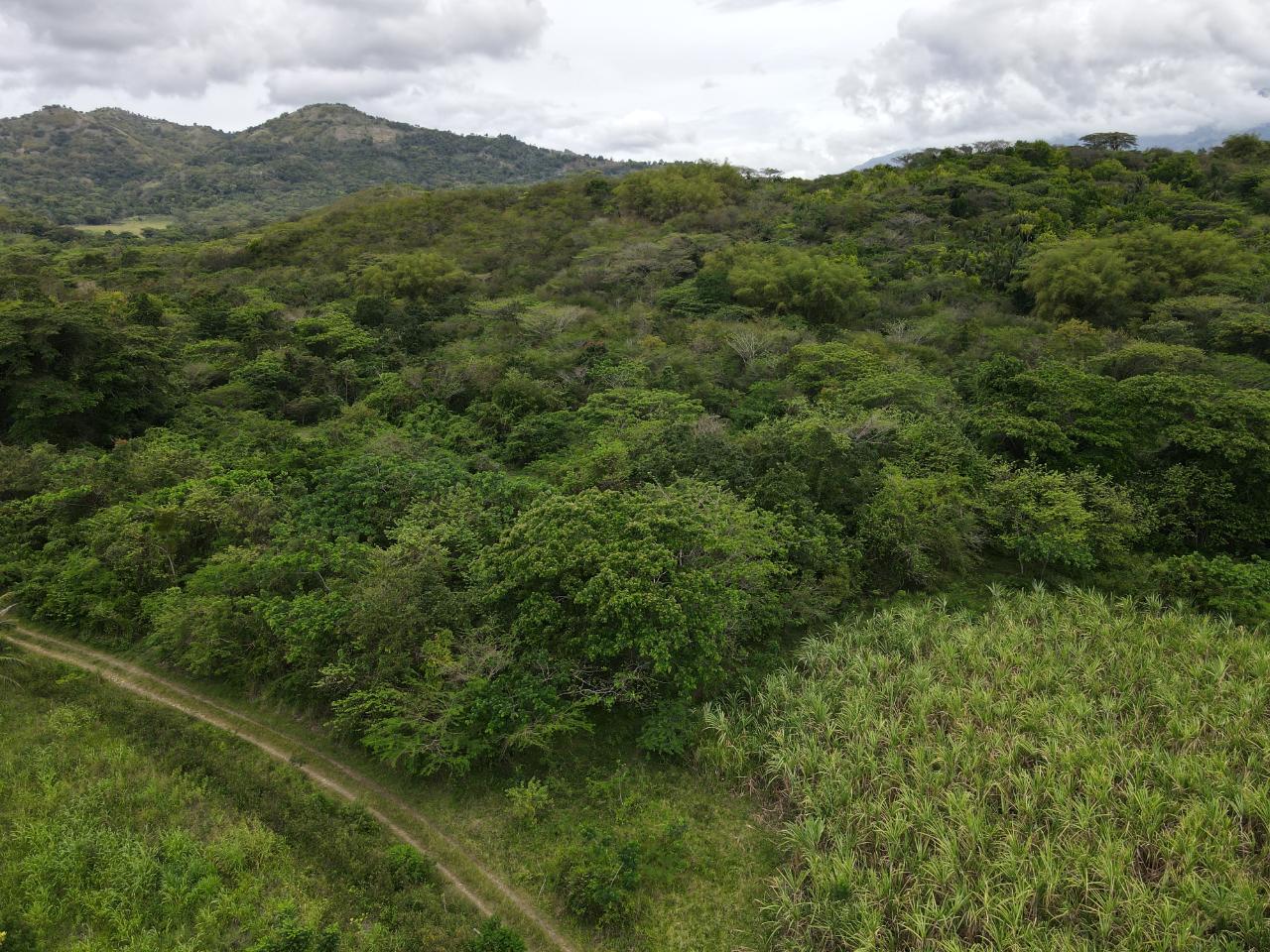 Development Land (Residential) For Sale BLUE MTN. DANVERS PEN