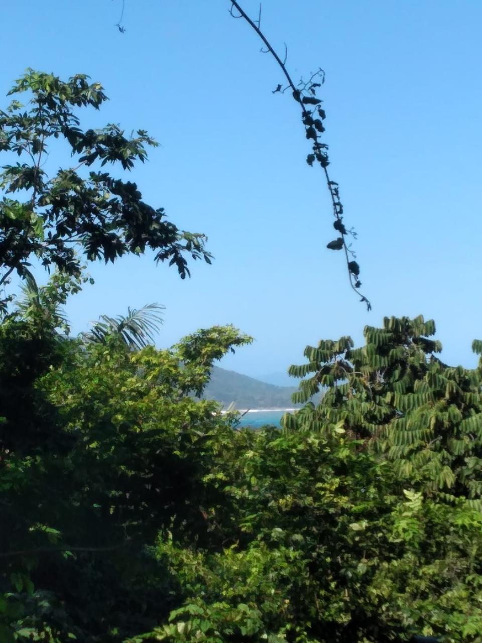 Residential Lot For Sale PORTLAND, Orange Bay 17,500,000 Keez