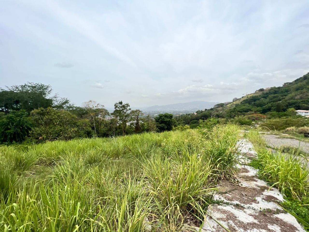 Development Land (Residential) For Sale ESTATE, Kingston 6