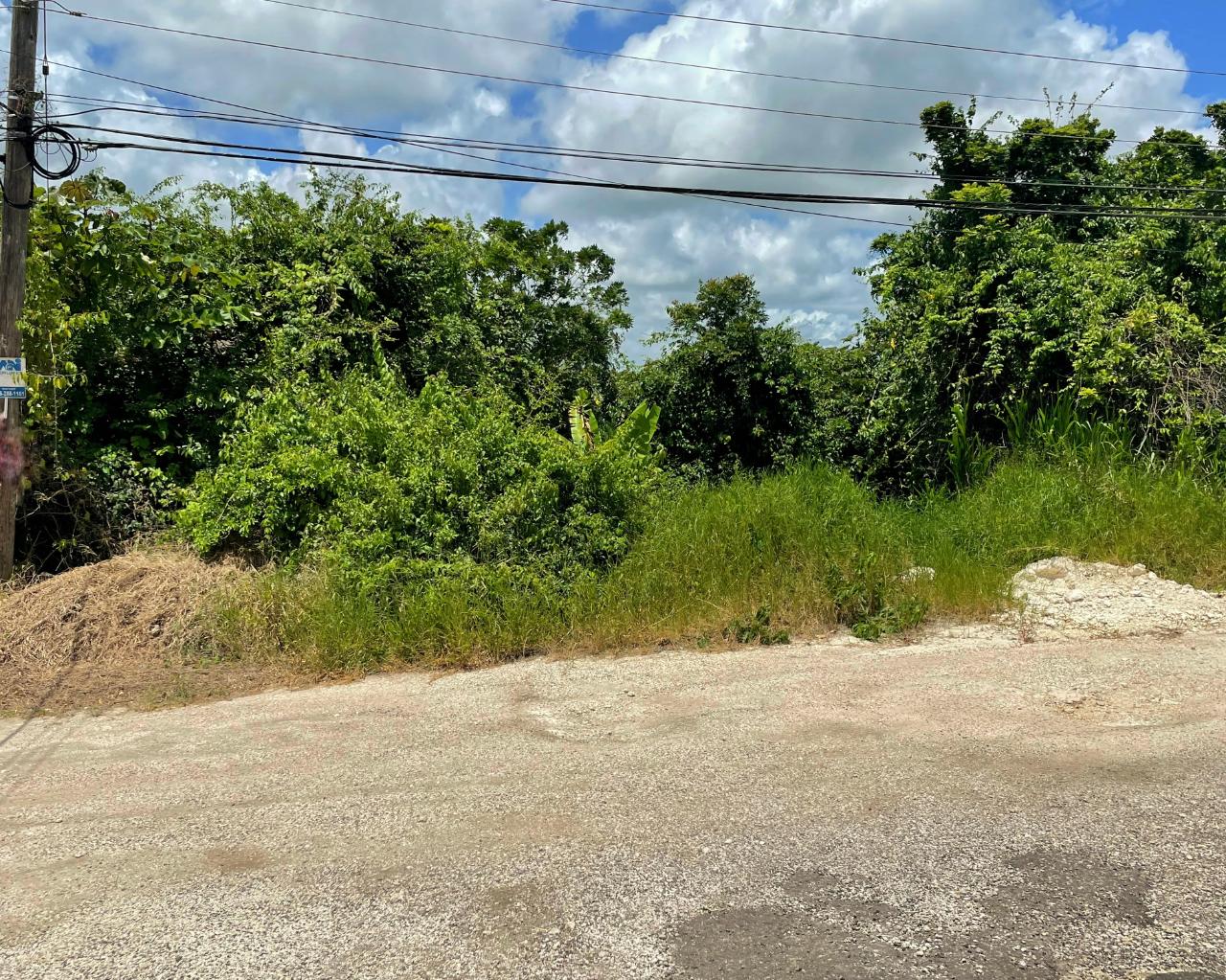 Residential Lot For Sale BATTERSEA AVE, INGLESIDE, Battersea 98,000