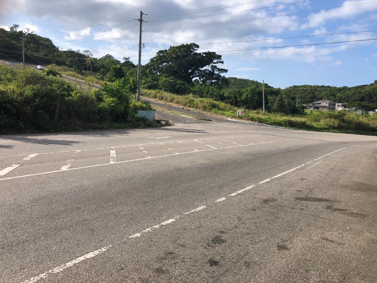 Development Land (Residential) For Sale: MINARD ESTATE, Browns Town ...