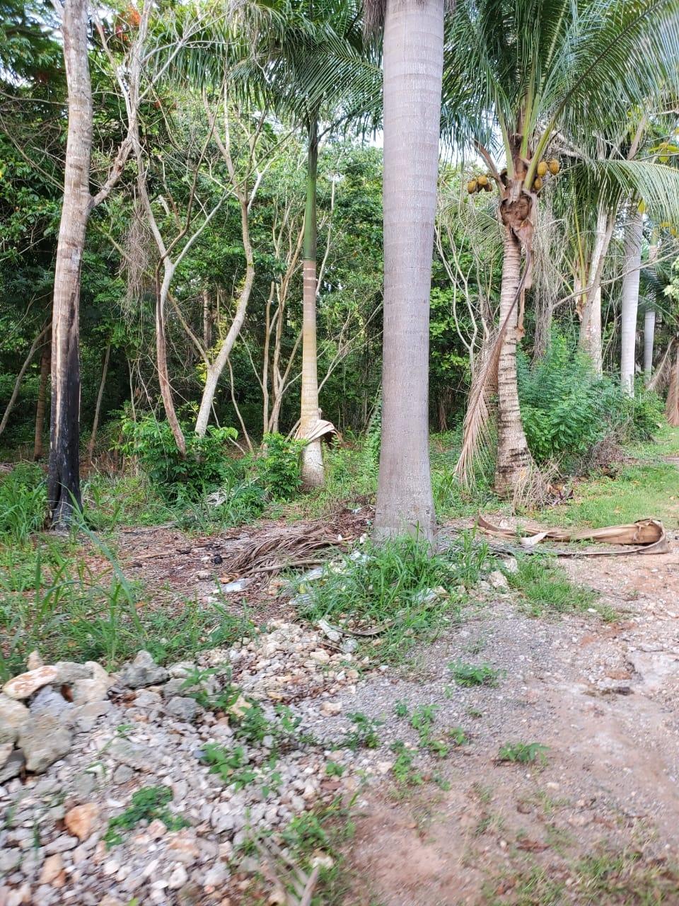 Residential Lot For Sale GIBRALTAR ESTATE, Boscobel 90,000 Keez