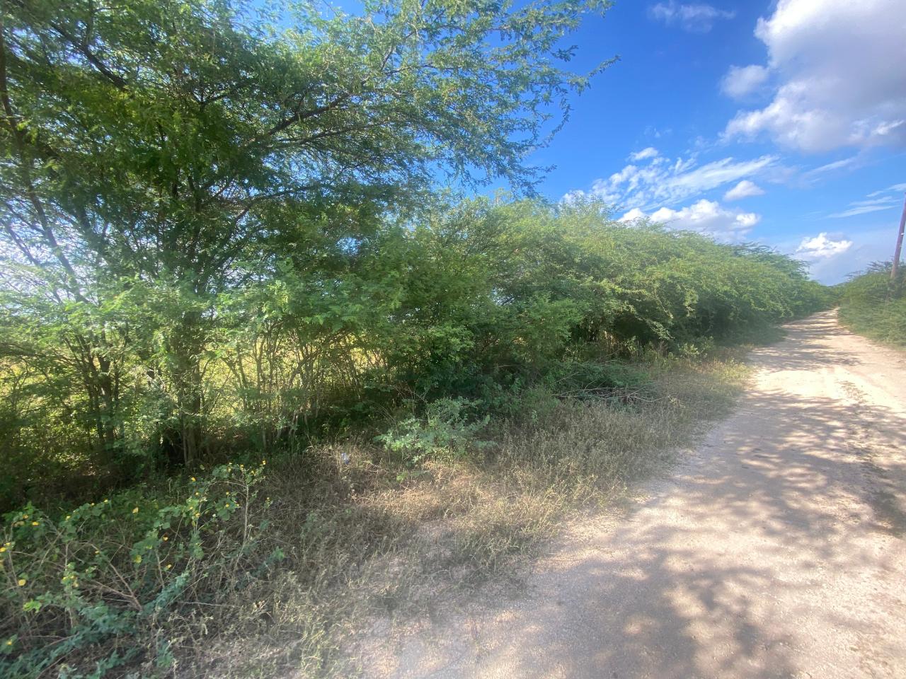 Development Land (Residential) For Sale PART OF HARTLANDS, 1800