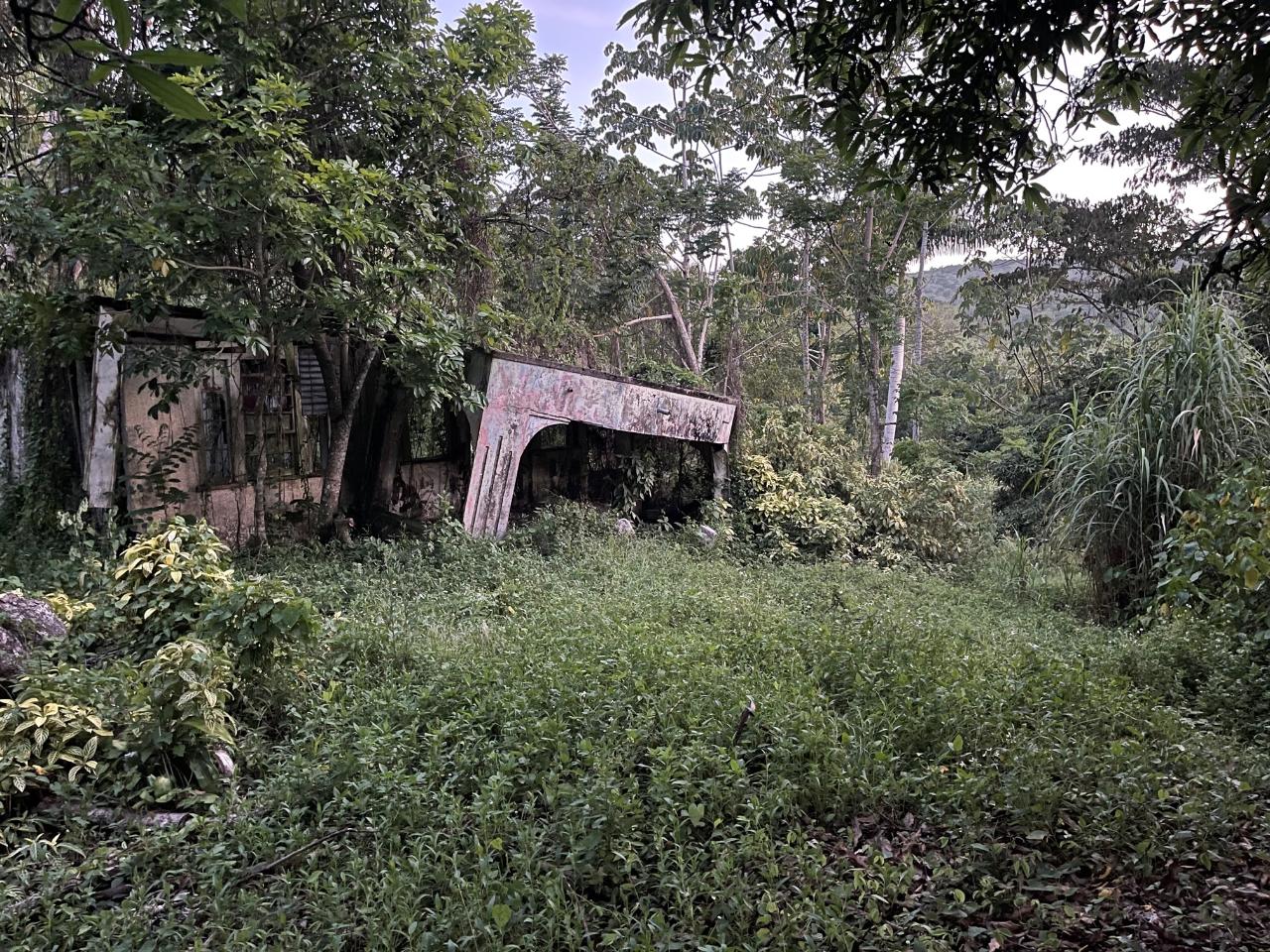 Development Land (Residential) For Sale HOPEWELL, HIGHGATE, Highgate