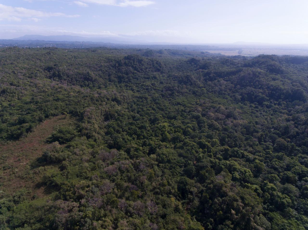 Residential Lot For Sale SPRING GARDEN, Bushy Park 68,000,000 Keez