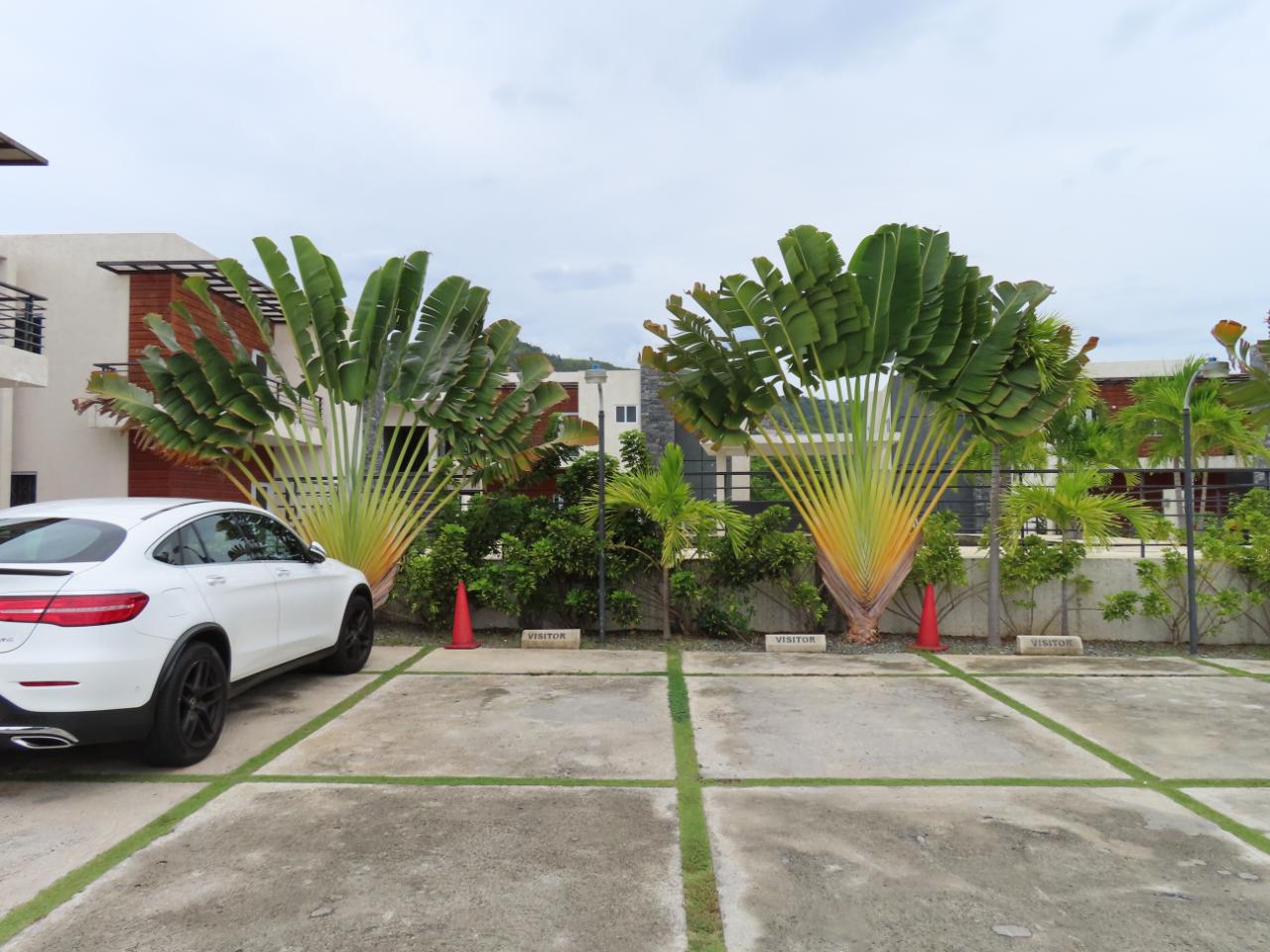 Apartment For Sale RUSSELL HEIGHTS, Kingston 8 410,000 Keez