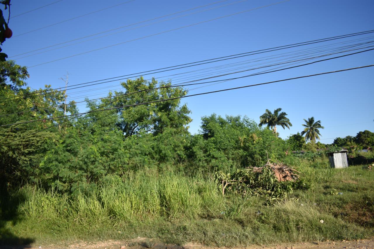 Commercial Lot For Sale HOOSE AVENUE, 1834 10,000,000 Keez