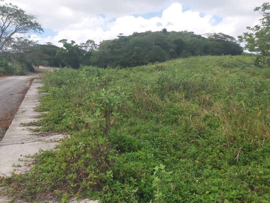 Development Land (Residential) For Sale: SOMERTON ST, LIMA EST JA ...