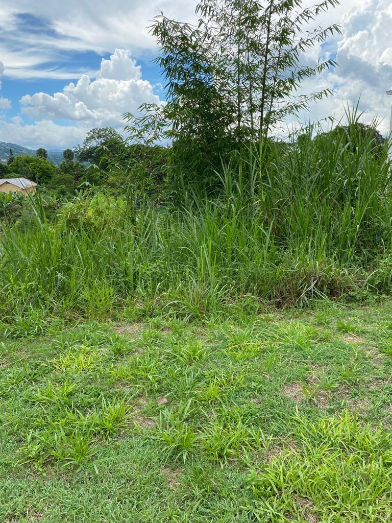 Residential Lot For Sale MELROSE CRESCENT, WILLIAM, Williamsfield 12,000,000 Keez