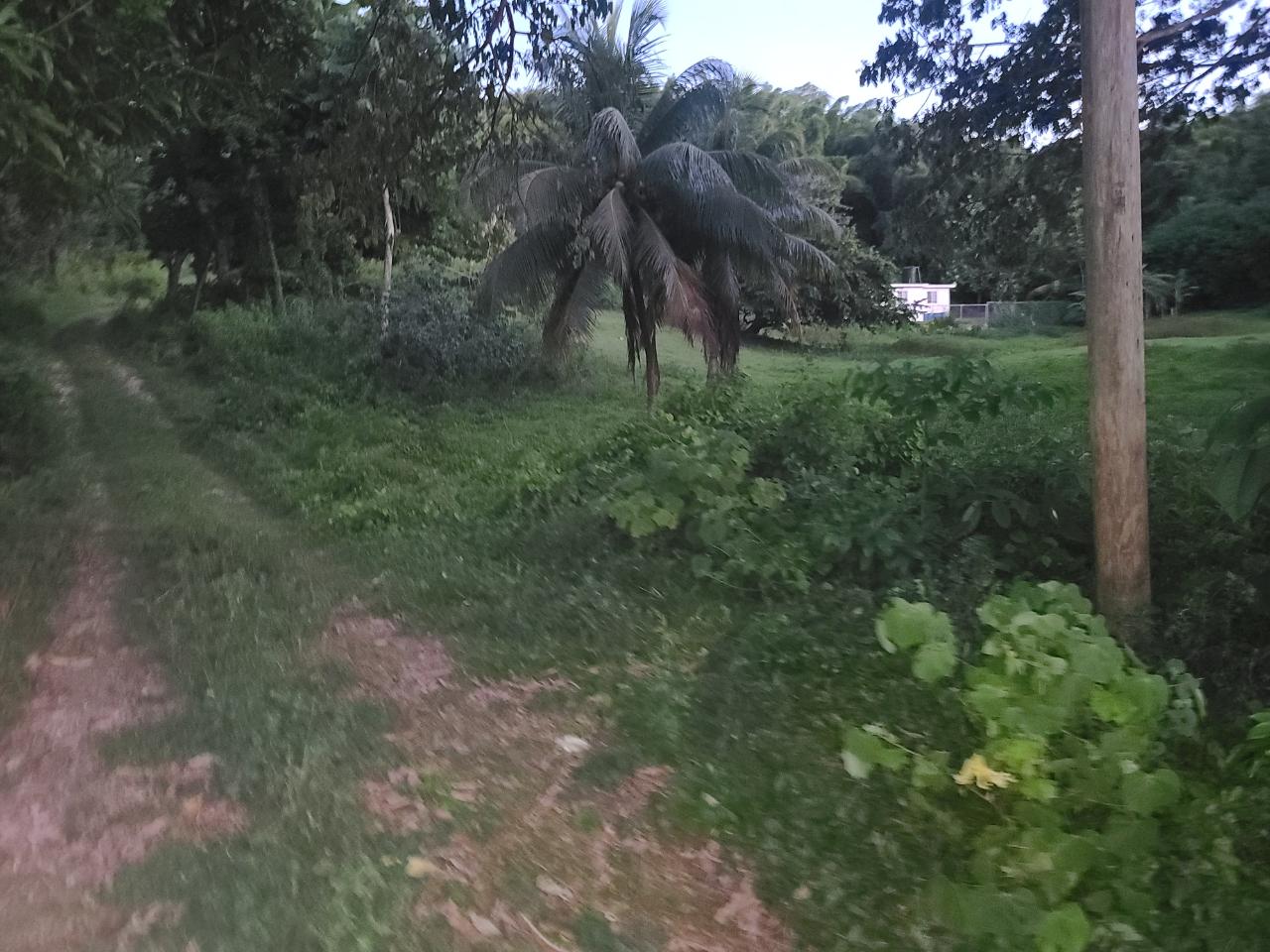 Residential Lot For Sale HAUGHTON COURT, LUCEA, Lucea 7,000,000 Keez