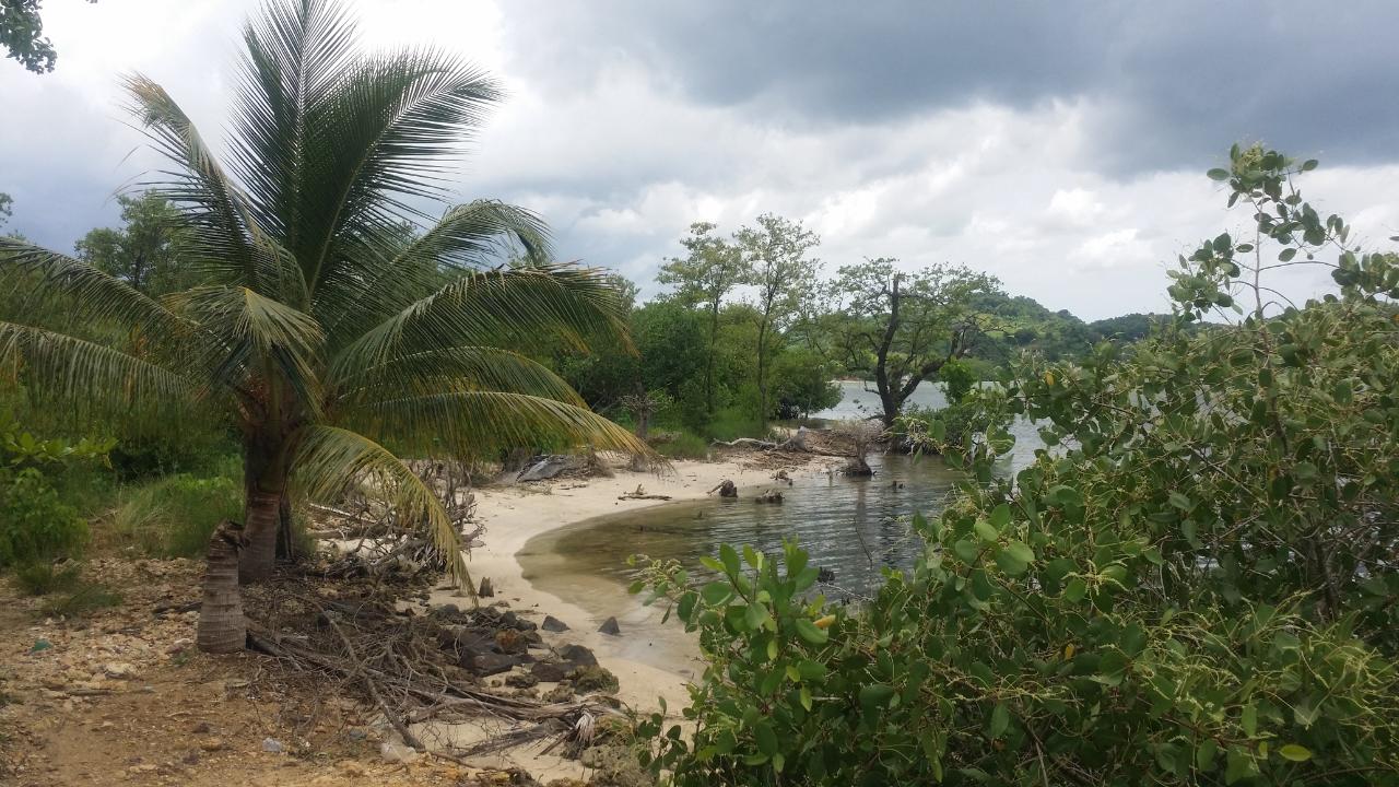 Development Land (Residential) For Sale GREEN ISLAND, Green Island