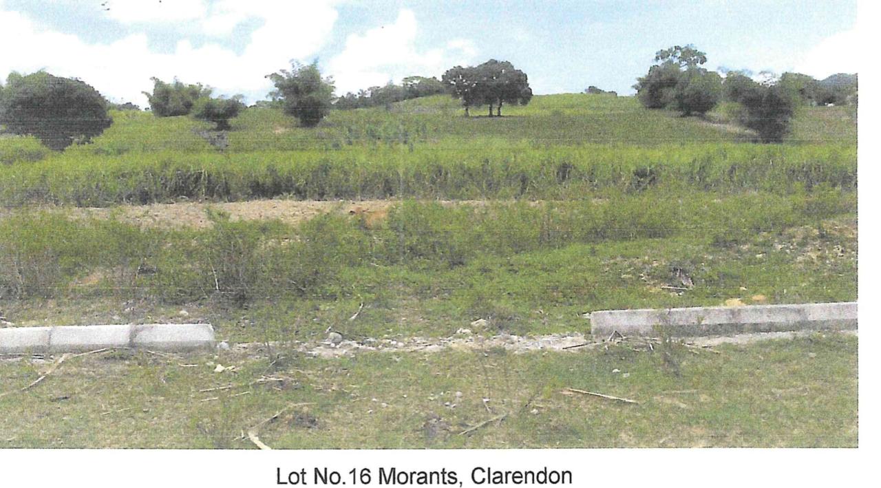 Residential Lot For Sale: PART OF MORANT, CLARENDON, Crofts Hill ...