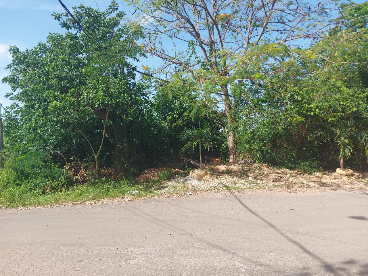 Residential Lot For Sale BELVEDERE, ST. ANDREW, Red Hills