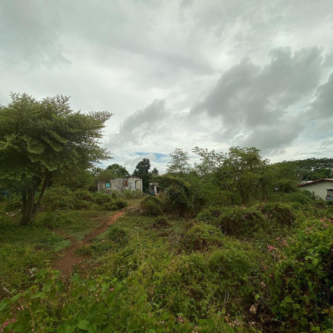 Residential Lot For Sale PALMERS CROSS, 2545 9,000,000 Keez