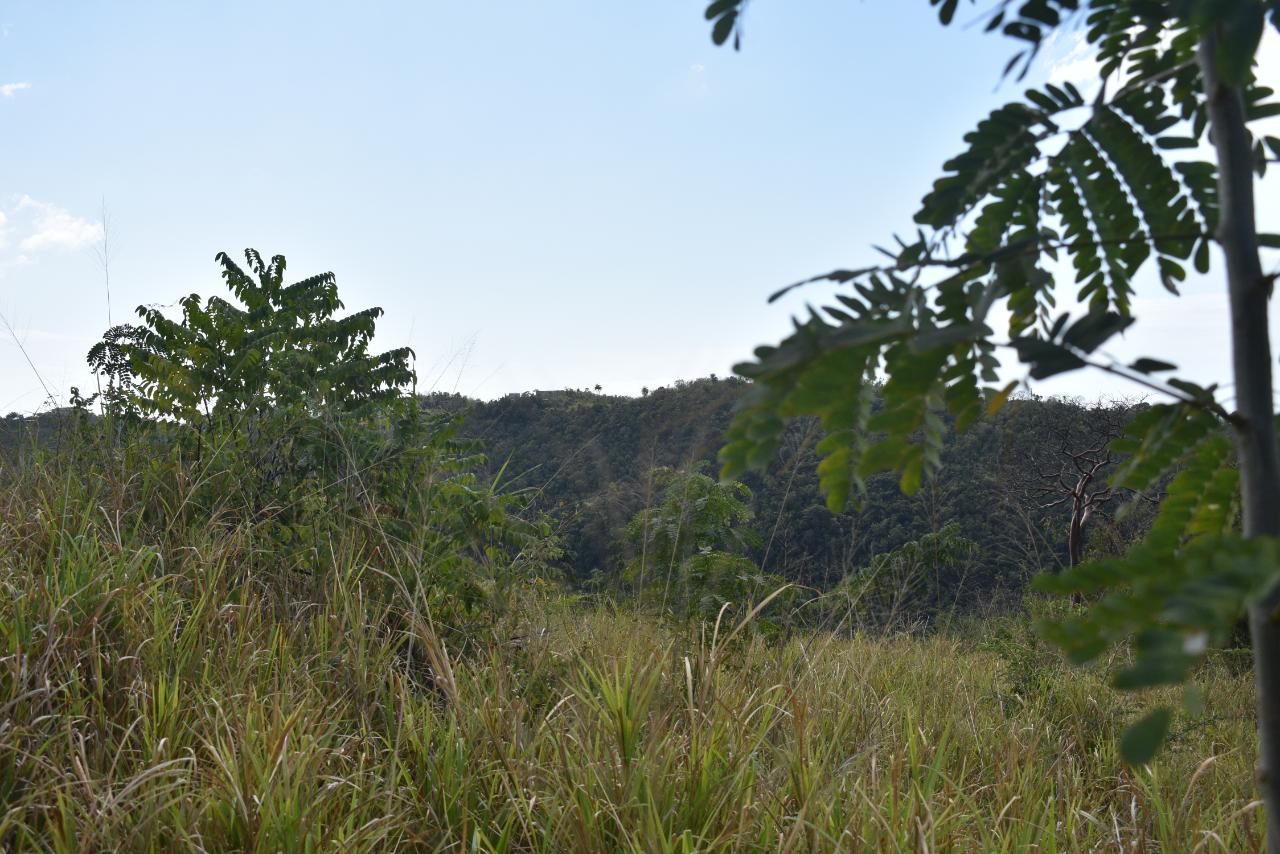 Residential Lot For Sale PLEASANT VALLEY, BELVEDER, Red Hills