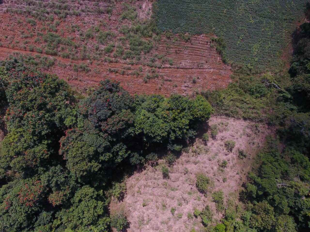 Offices / Commercial Bldg For Sale GOSHEN, Goshen 3,700,000 Keez