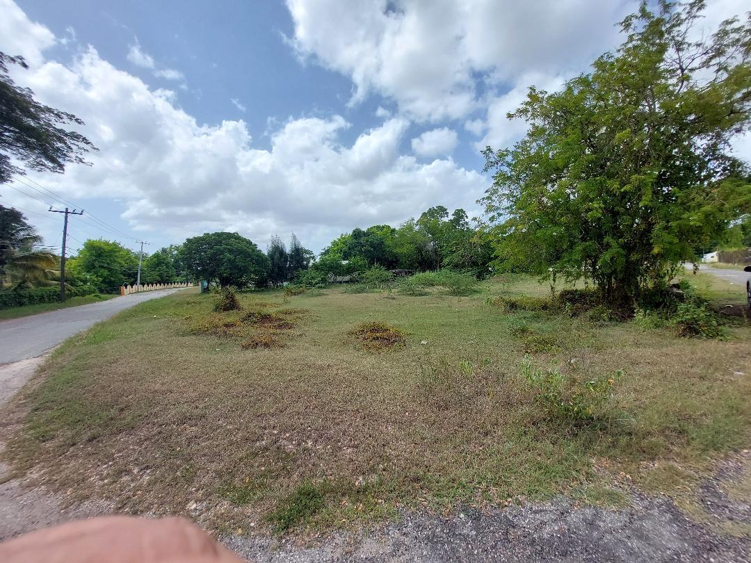 Residential Lot For Sale LAWSON ROAD, FOUR PATHS,, Four Paths