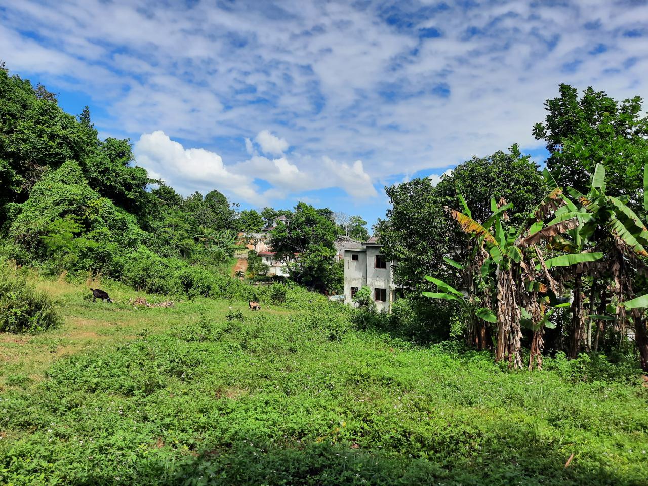 residential-lot-for-sale-spathodia-avenue-mandeville-15-500-000-keez