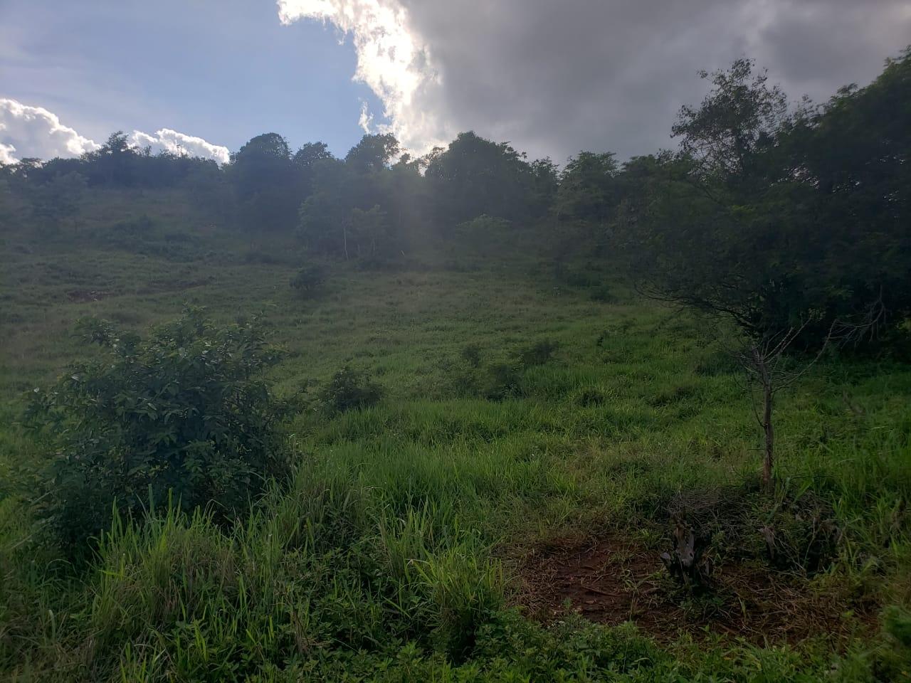 Residential Lot For Sale BROKENHURST, MANCHESTER, 2128 45,000 Keez