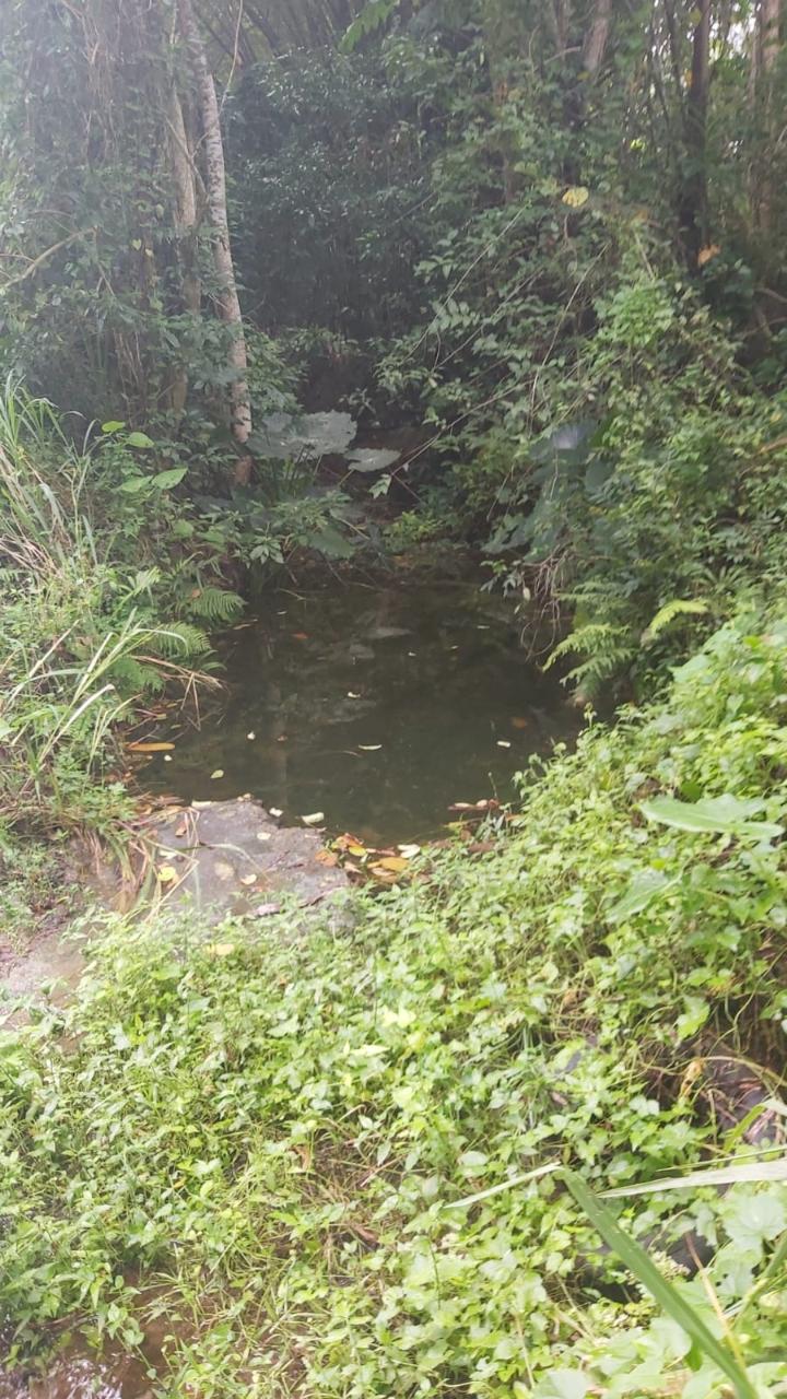 Residential Lot For Sale BALLARDS VALLEY, 1094 120,000,000 Keez