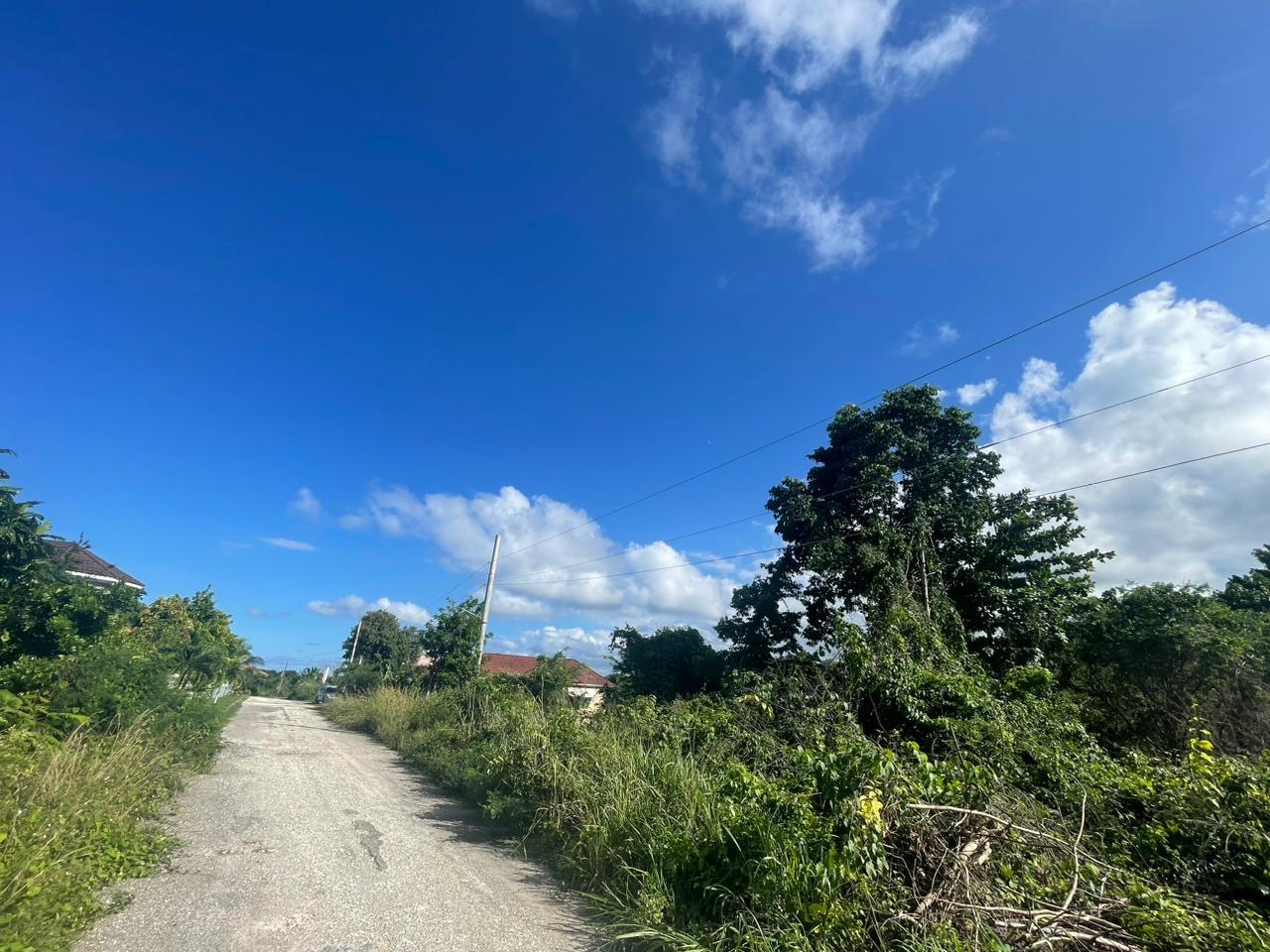 Residential Lot For Sale RIO NUEVO CIRCLE, 1208 16,000,000 Keez