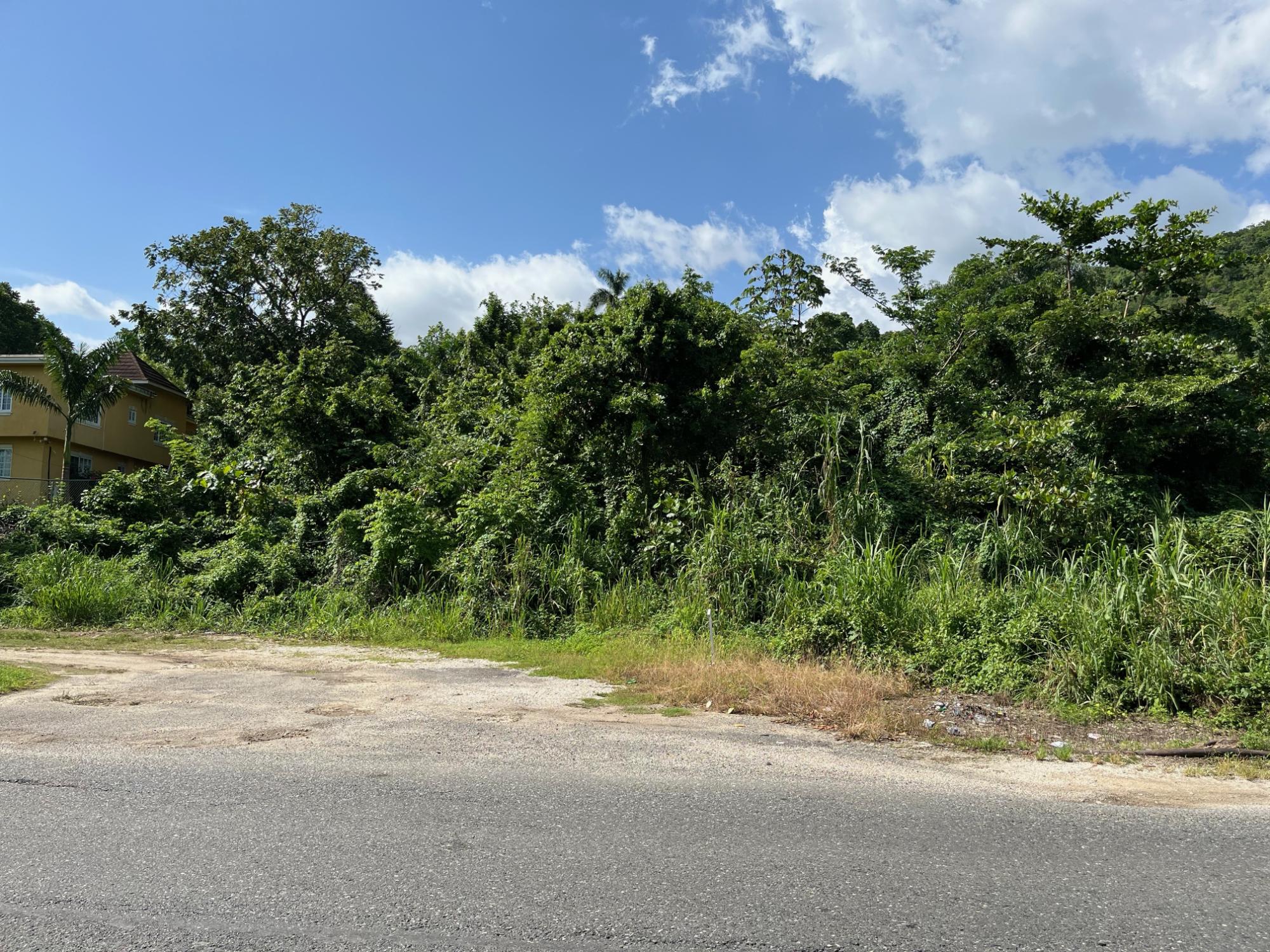 Development Land (Residential) For Sale MT PLEASANT, WESTMORELAND