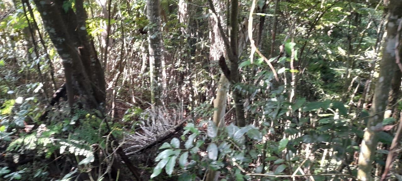 Residential Lot For Sale SUSSEX ESTATE ROAD, St. Annapos;s Bay