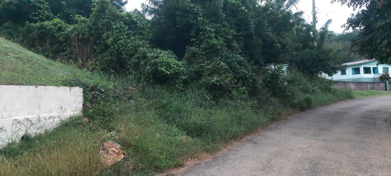 Residential Lot For Sale PHOENIX PARK, MONEAGUE, Moneague 97,000 Keez