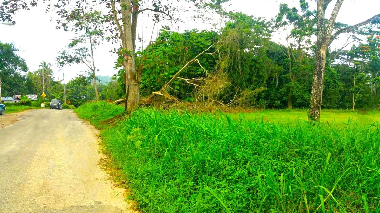 Residential Lot For Sale FRIENDSHIP, Wakefield 35,000,000 Keez