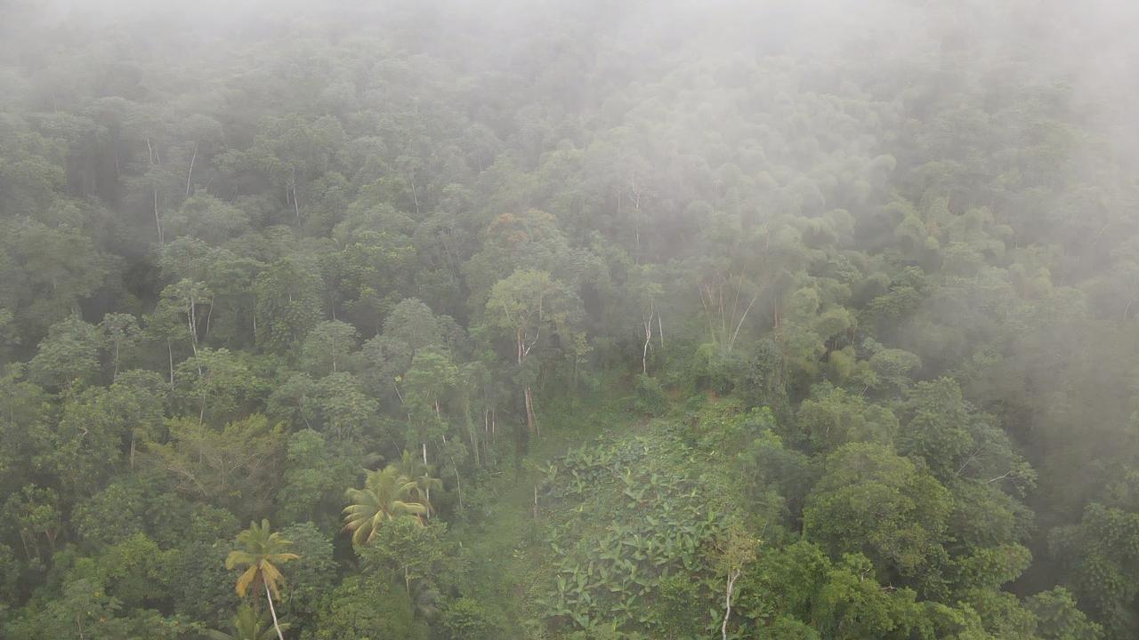 Residential Lot For Sale LOT 268 HARKERS HALL, Harkers Hall 30,000