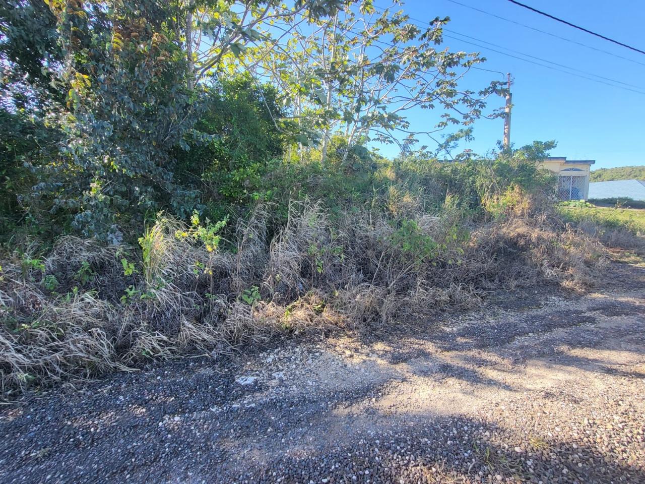 Residential Lot For Sale MANCHESTER, Newport 5,700,000 Keez